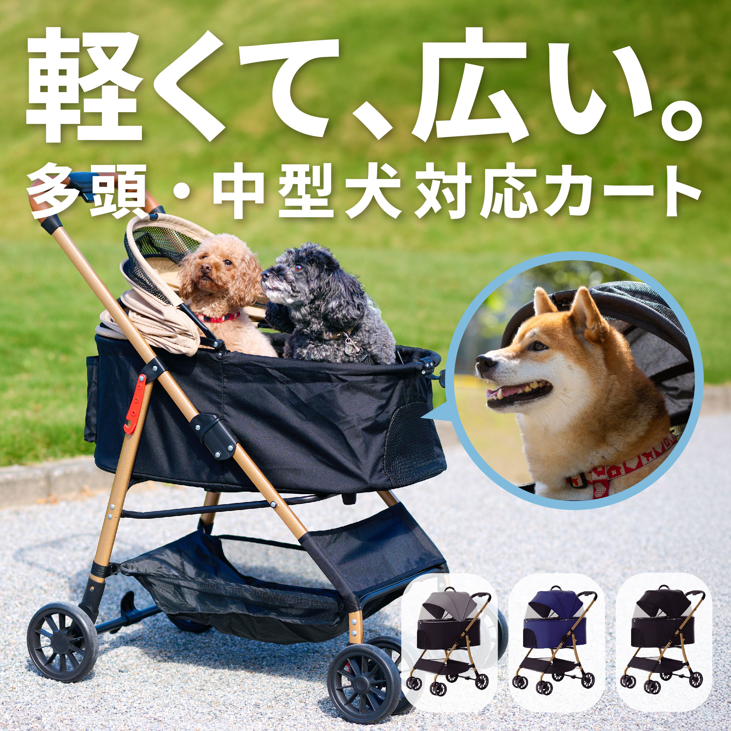 楽天市場】＼本日限定10％offクーポン／わおんにゃおんの日！レビュー