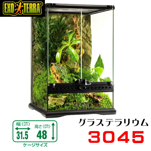 楽天市場】GEX グラステラリウム 3045 爬虫類 飼育 ケージ ガラス