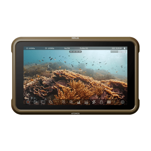 Ninja – 5″ HDMI HDR Monitor-Recorder | Atomos