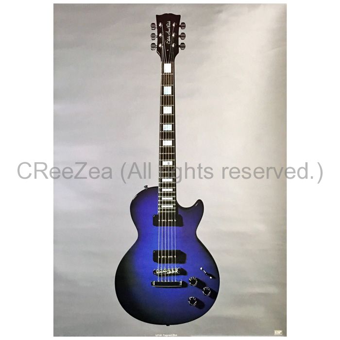LUNA SEA INORANモデル初期型【改造品】 LUNA SEA INORANモデル初期型