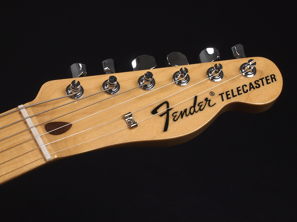 Fender Made in Japan Limited F-Hole Telecaster Thinline ~Arctic