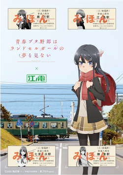 江ノ島電鉄 ✕『青春ブタ野郎はランドセルガールの夢を見ない』コラボ