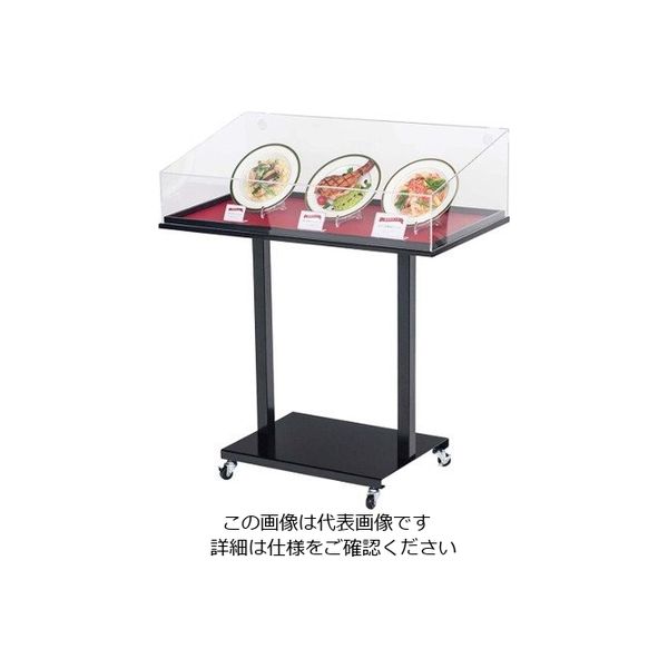 友屋 サンプルケーススタンド ワイド 56997 63-7216-15 1個（直送品
