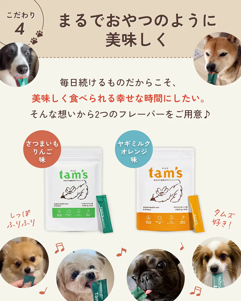 タムズ tam's 犬用サプリメント 5g×30包 2袋 Amazon.co.jp: 【動物病院