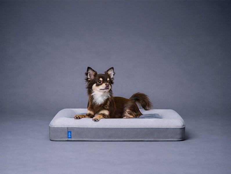 グーグースリープ【公式】｜犬用ベッド｜超小型犬・小型犬・中型犬
