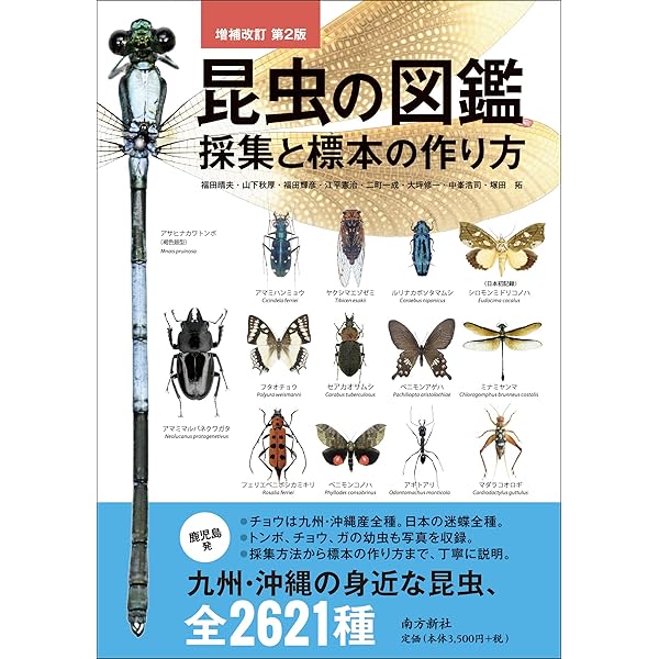 Amazon.co.jp: 昆虫展足の世界 : 福井 敬貴, 小林 一秀: 本