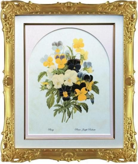 ボタニカルアート 絵画 YAN ROSE 蝶 フラワー ボタニカルアート 絵画