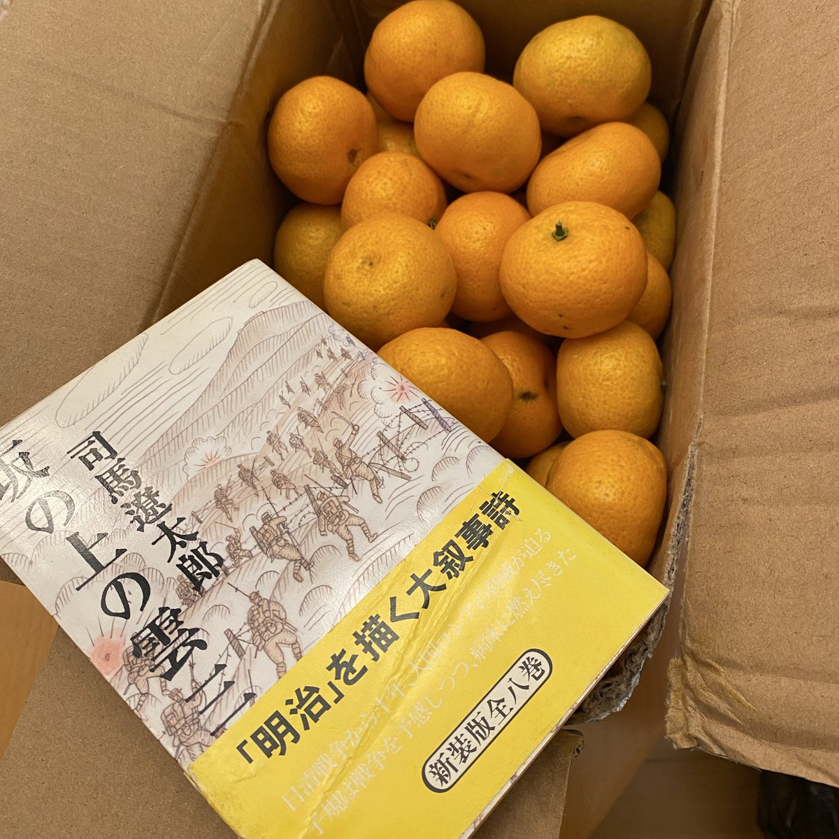 みかん様 みかんページ みかん様 ミカン様 ミカン様 蜜柑様 レビュー】ZX