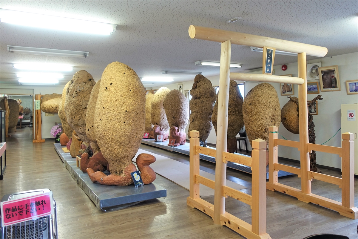 ギネス認定】世界一のハチの巣が展示された珍スポット『蜂天国』に行っ