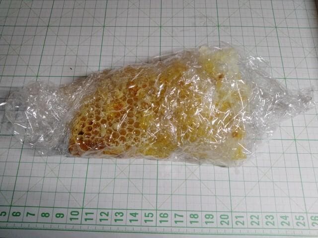 昆虫標本　ニホンミツバチ　巣盤　1番　2590g 昆虫標本 ニホンミツバチ 巣盤 1番 2590g