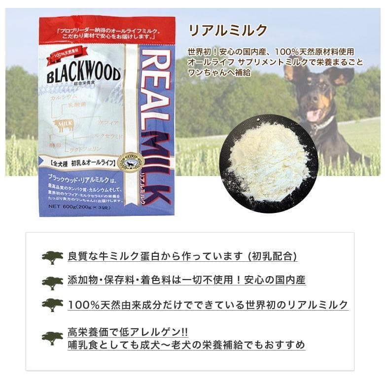 業務用 BLACKWOOD REAL MILK リアルミルク 10袋