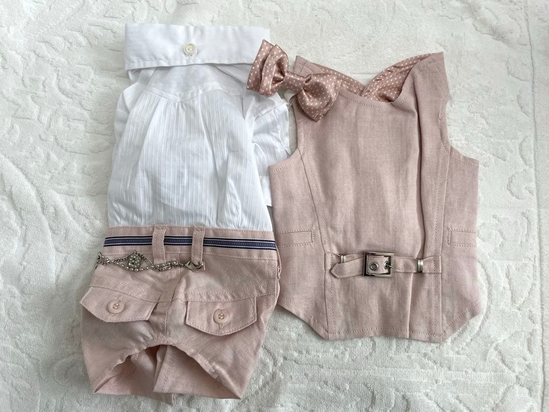 ブルブブ 犬服３点セット SS Dog Boutique BUL BU-BU (@bulbubu) • Instagram photos and videos