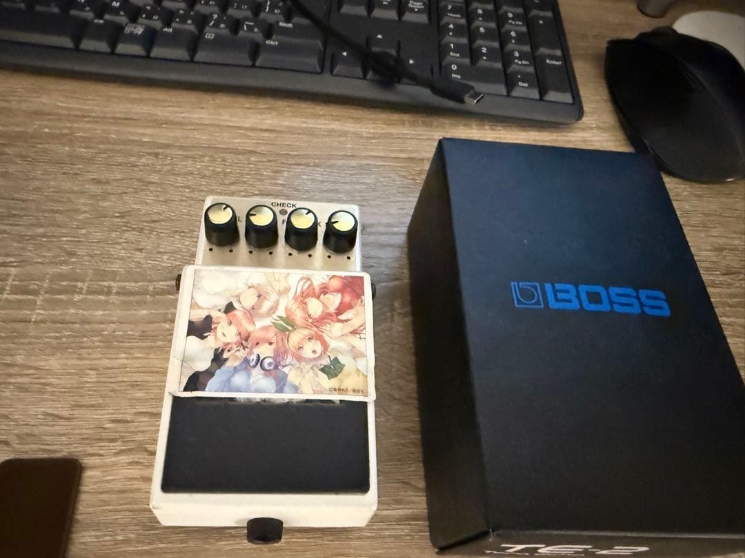 BOSS エフェクター TE-2 TERA ECHO アニメデザイン BOSS エフェクター TE-2 TERA ECHO アニメデザイン Ernie Williamson