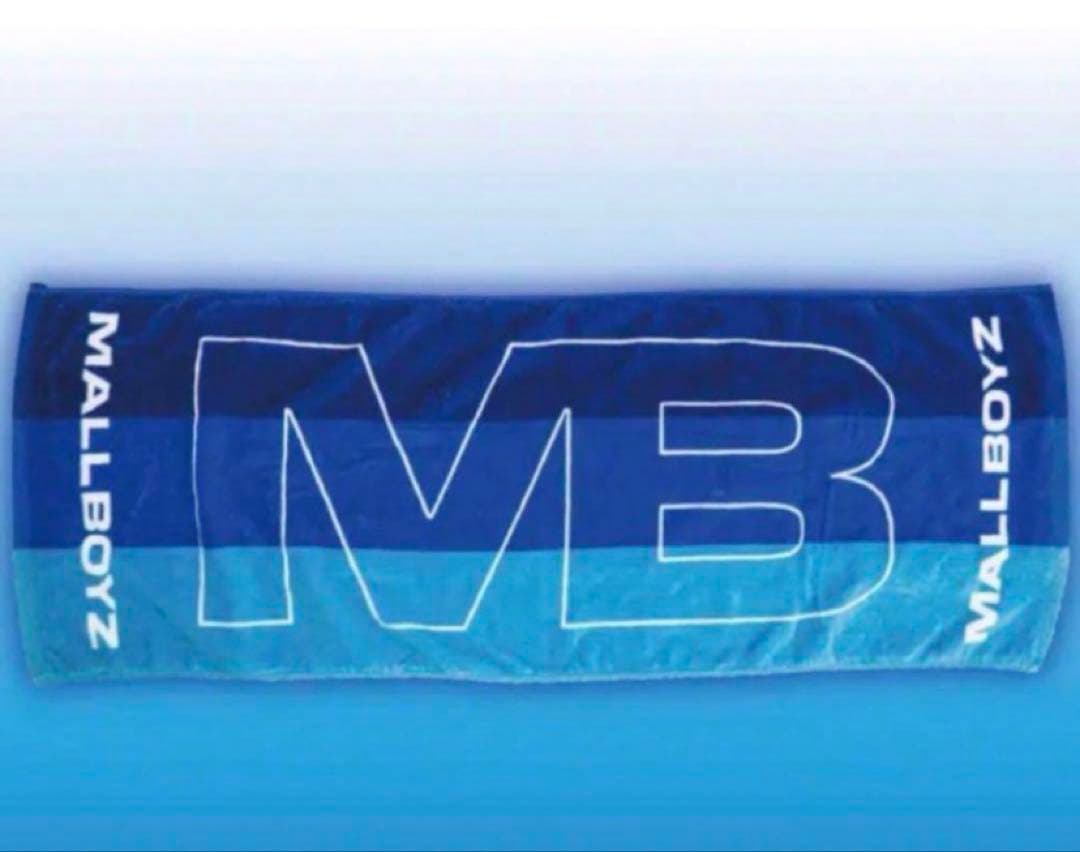 Mr.KOUMONSENSHIBORI mallboyz タオル Mr.KOUMONSENSHIBORI 様専用mallboyz タオル - メルカリ
